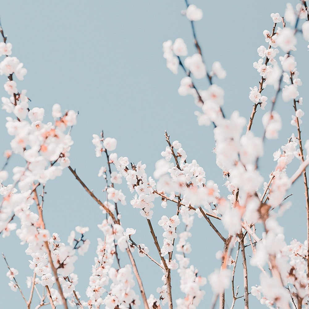 Meet your Posher, Bianca